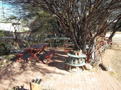 Extended Patio, bricks moved to new patio under trees, no summer heat absorption but the low winter sun shines on.