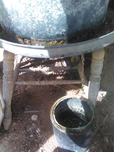 Planter sitting in metal trash can lid with drilled drain hole, 1 gallon bucket under drainage hole.<br />Rewater with the collected water.